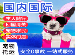 揭阳潮汕空运地址国际宠物托运 【国